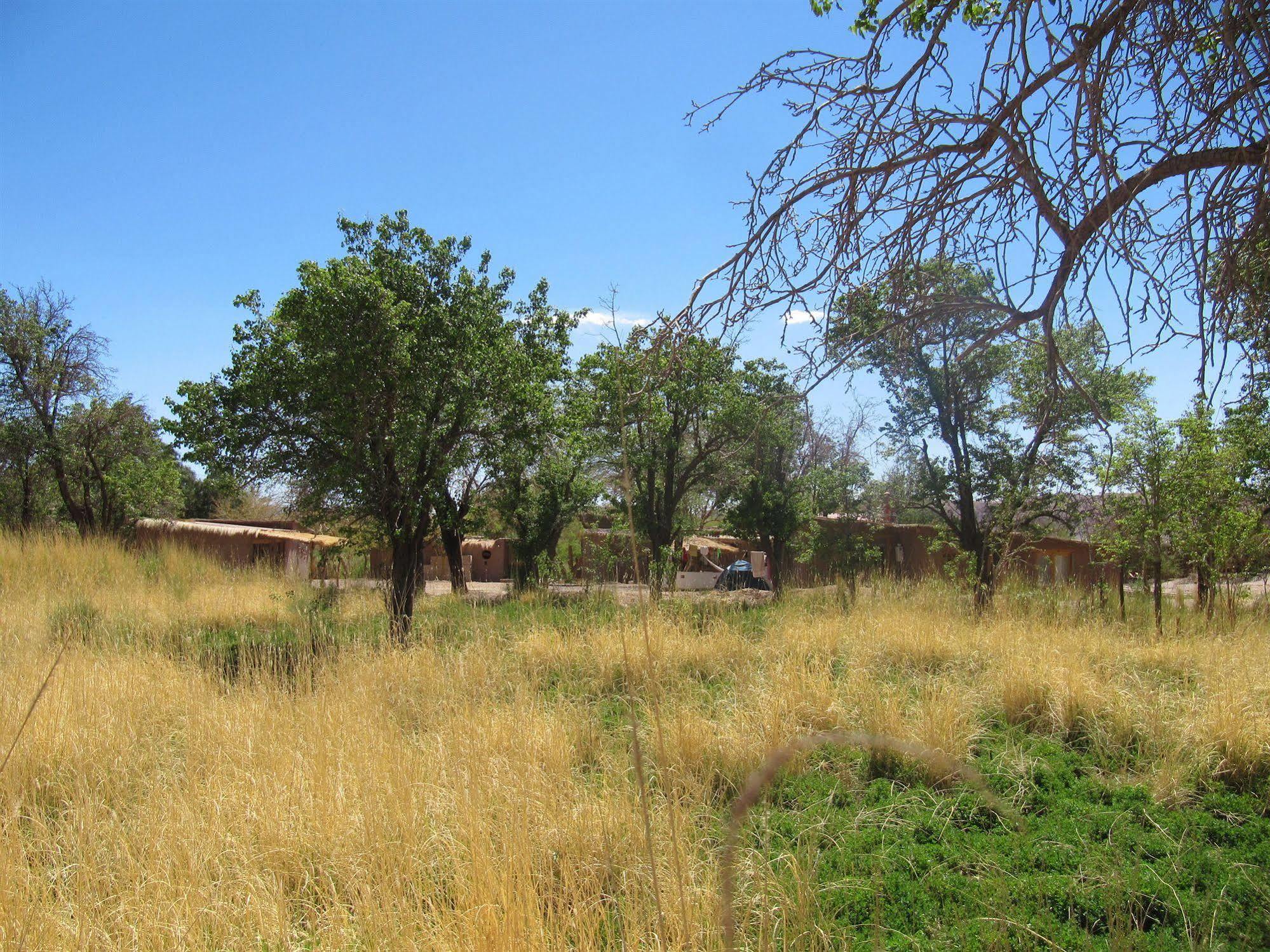 סן פדרו דה אטקאמה Rancho Quitapenas Bungalows מראה חיצוני תמונה
