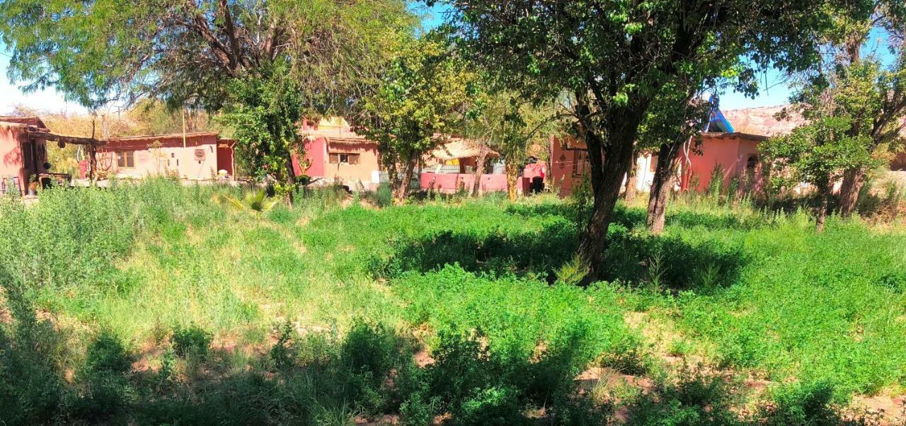 סן פדרו דה אטקאמה Rancho Quitapenas Bungalows חדר תמונה